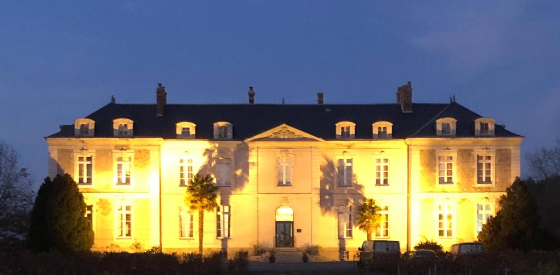 Hotel Particulier Chateau Des Marais Proximite Et Vue Sur Le Lac De Grand Lieu Saint-Philbert-de-Grand-Lieu Екстер'єр фото